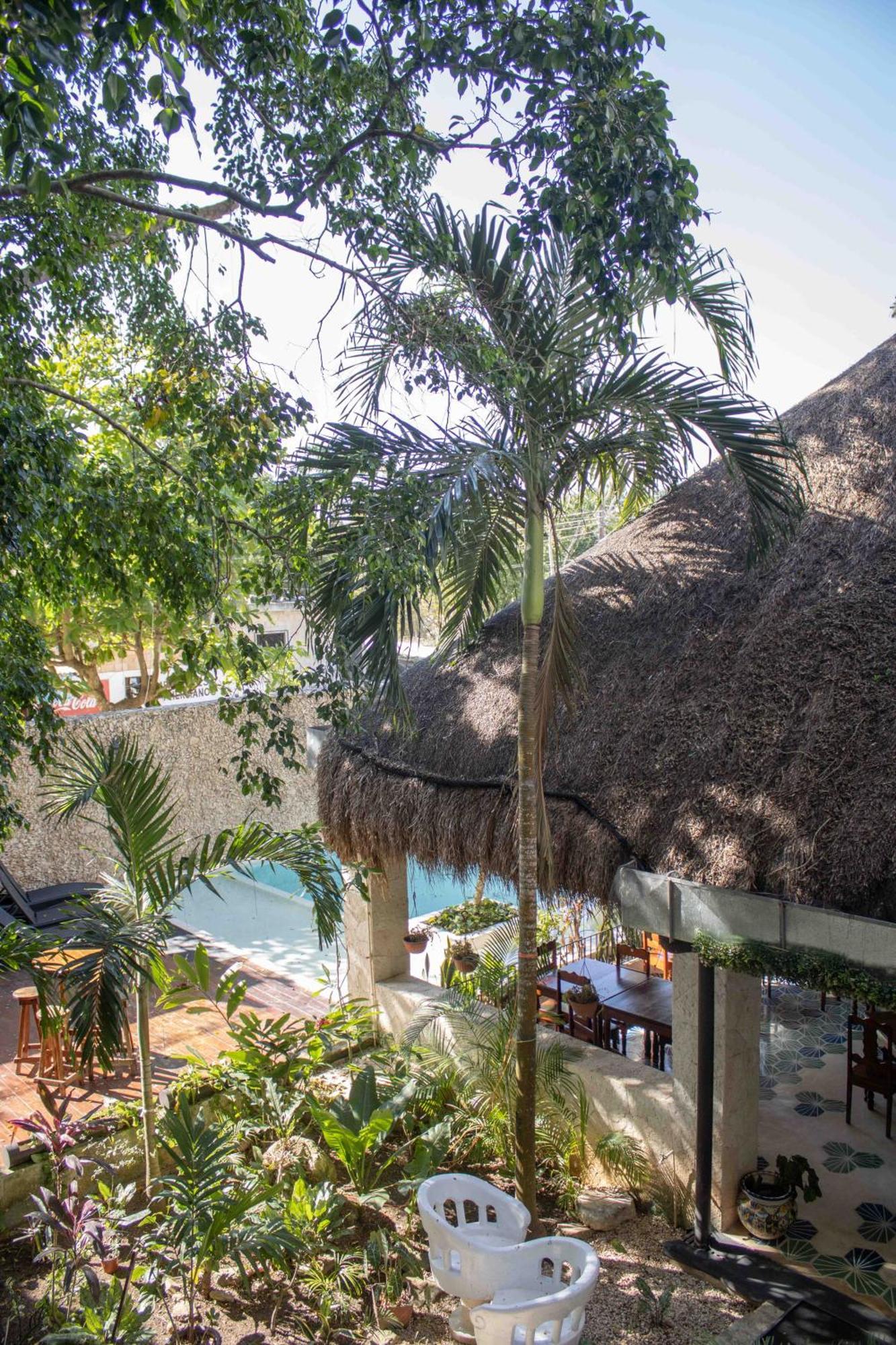 Hotel Nojoch Che Coba Ngoại thất bức ảnh