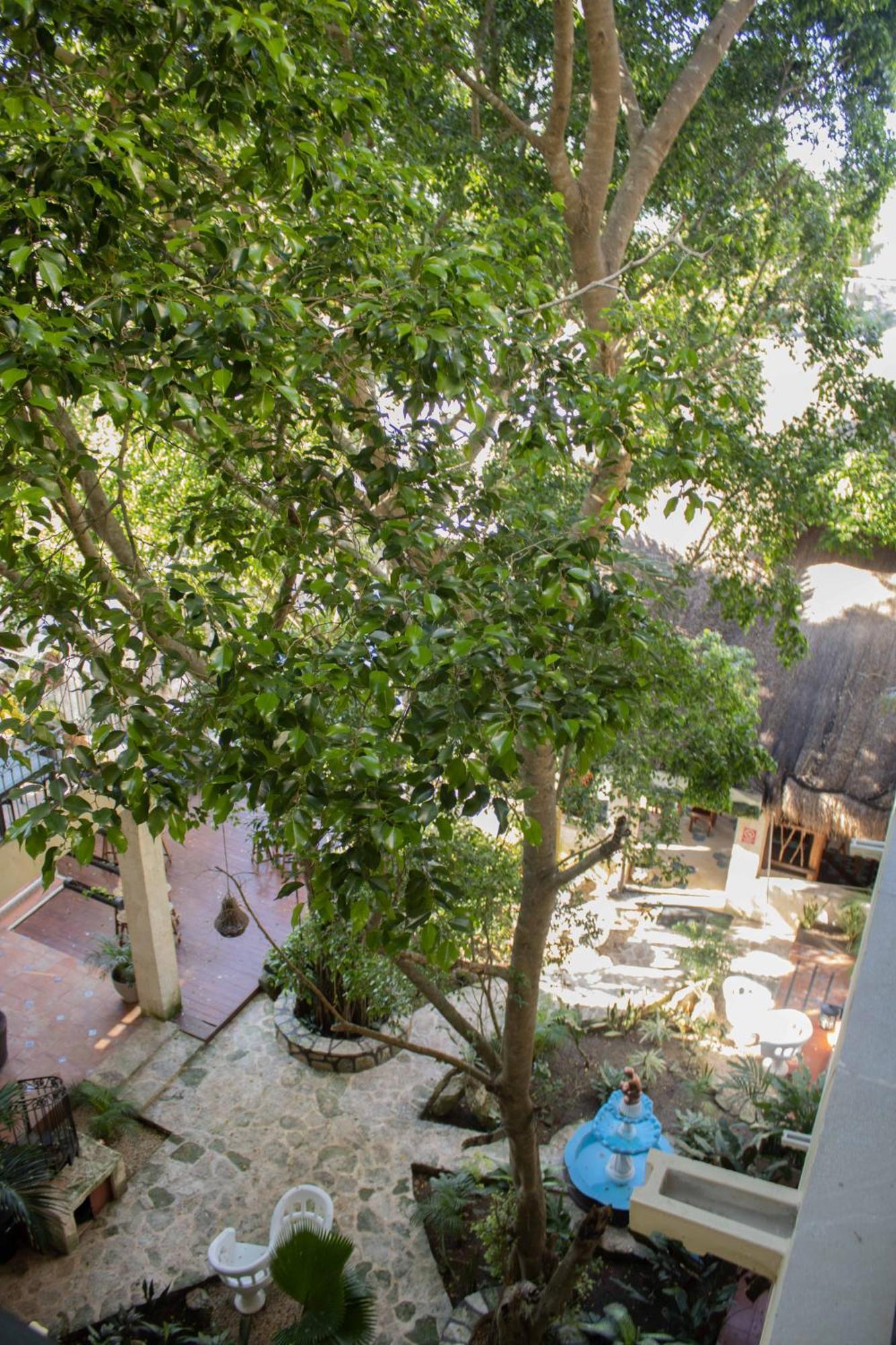 Hotel Nojoch Che Coba Ngoại thất bức ảnh